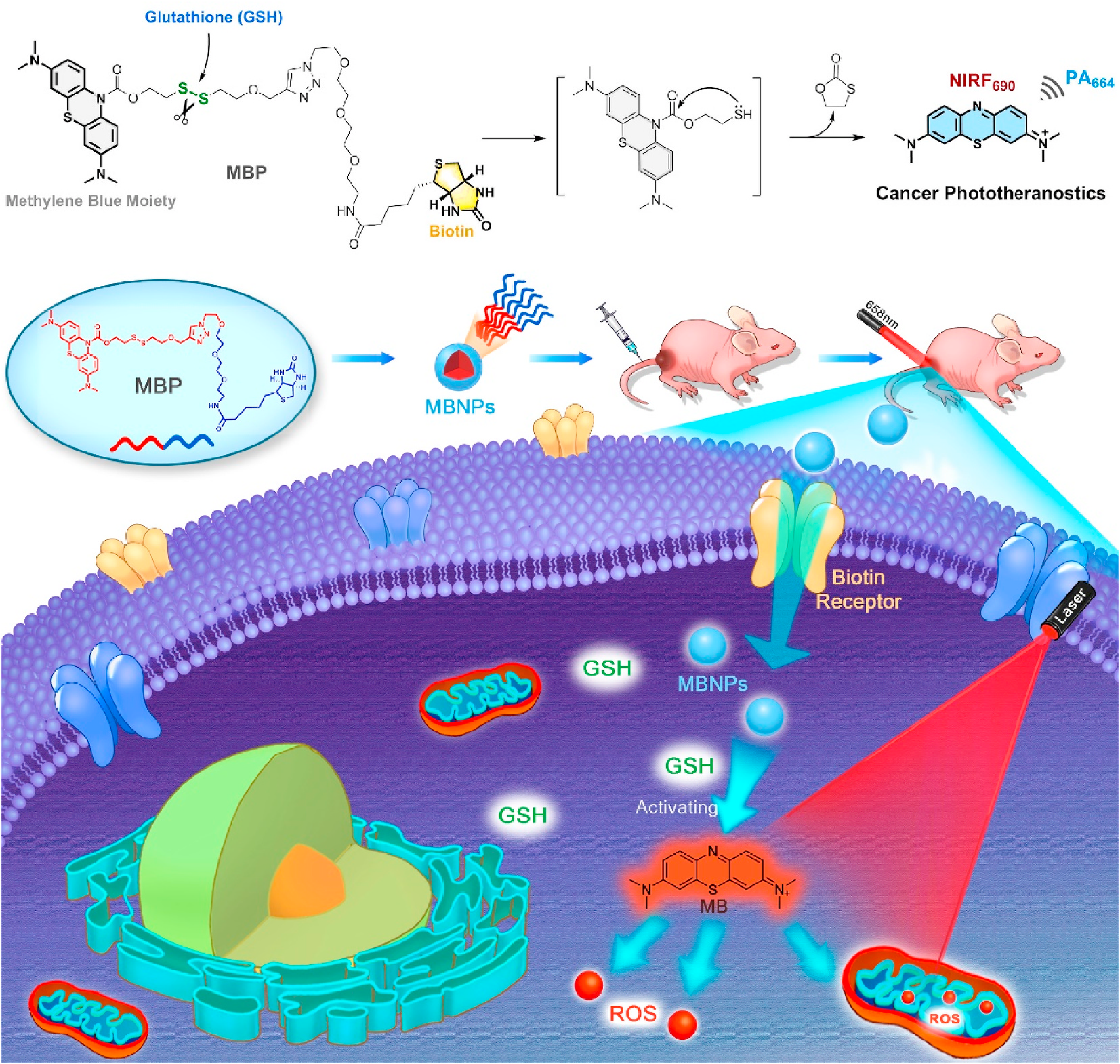 Self-assembled nano-photosensitizer for cancer phototheranostics